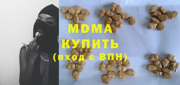 индика Алексин