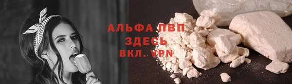 индика Алексин