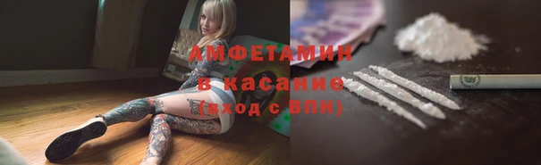 индика Алексин