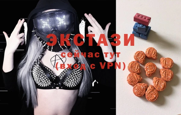 индика Алексин