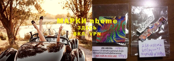 индика Алексин