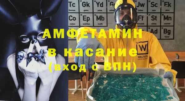 индика Алексин