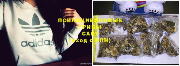 jwh Алзамай