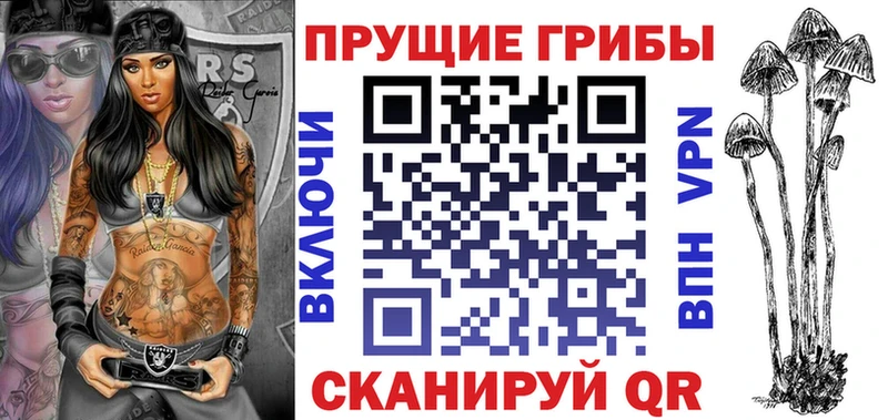 купить закладку  Петровск-Забайкальский  Псилоцибиновые грибы прущие грибы 